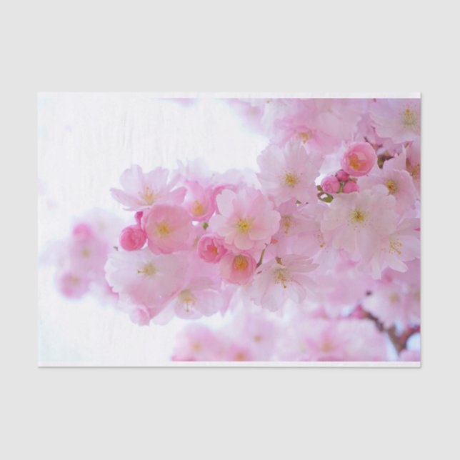 Spring - Cherry Blossoms - All Options Tissue Paper (Front)