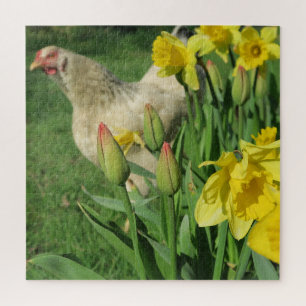 spring,chicken, animal, chick, bird, farm, cute, jigsaw puzzle