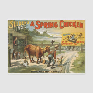 Spring Chicken Decoupage Tissue Paper