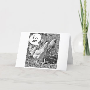 SPRING CHICKEN EVEN AT THE AGE OF "40" BIRTHDAY CARD