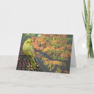 Spring Chickens Card