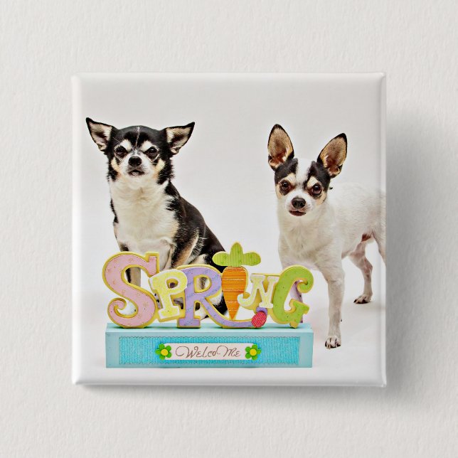 Spring Chihuahua's 15 Cm Square Badge (Front)