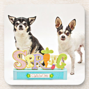 Spring Chihuahua's Coaster