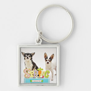 Spring Chihuahua's Key Ring
