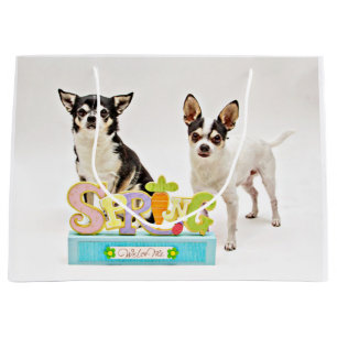 Spring Chihuahua's Large Gift Bag