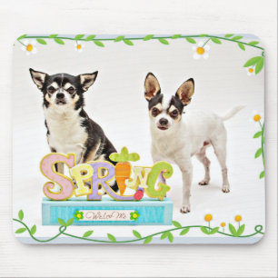 Spring Chihuahua's Mouse Pad