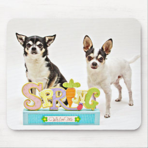 Spring Chihuahua's Mouse Pad