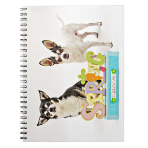 Spring Chihuahua's Notebook