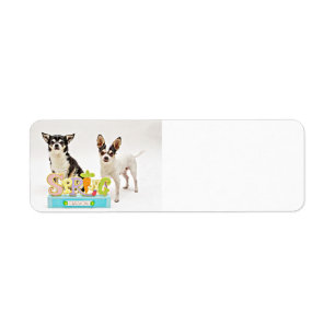 Spring Chihuahua's Return Address Label