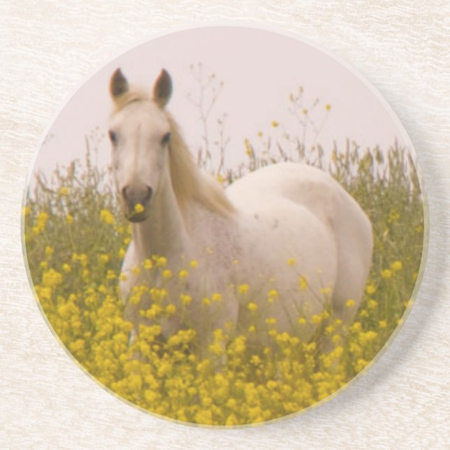 Spring Coaster (Front)