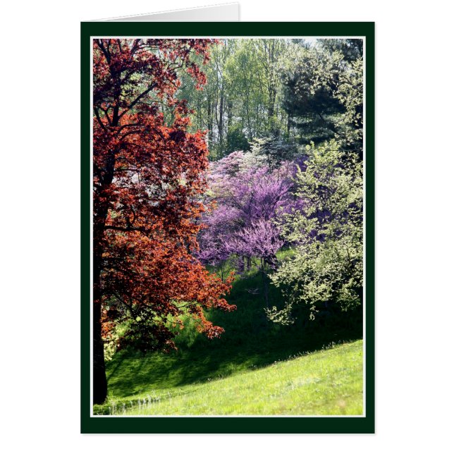 Spring Colours (Front)