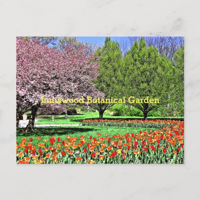 "SPRING COMES TO INNISWOOD BOTANICAL GARDEN" POSTCARD (Front)