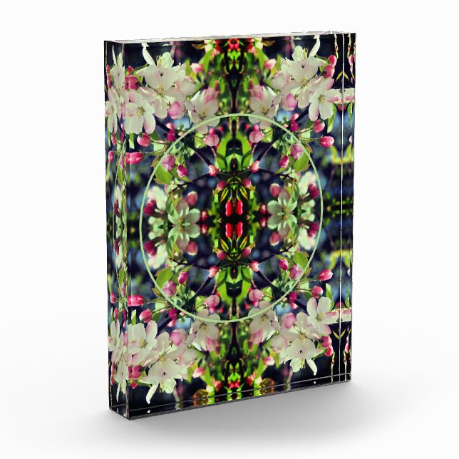 Spring Crabapple Blossoms Frame Add Your  Photo Block (Left)