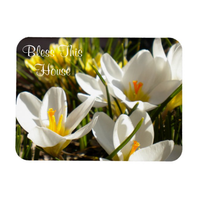 Spring Crocus "Bless This House" Magnet (Horizontal)