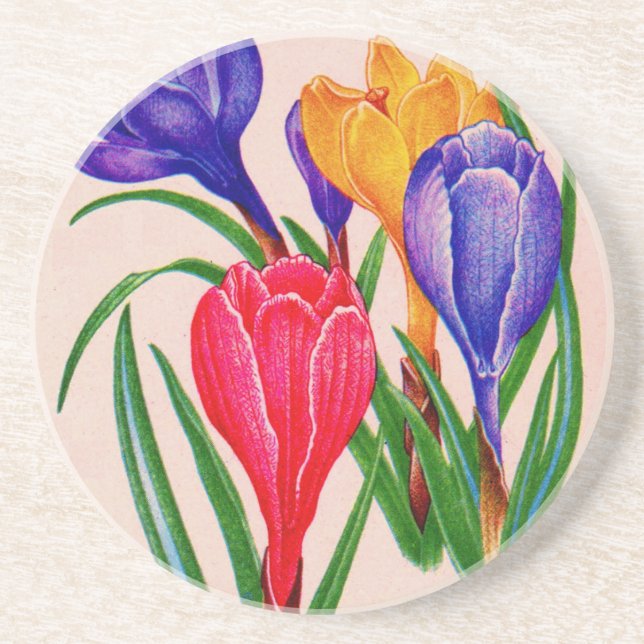 spring crocus coaster (Front)