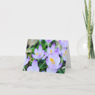 Spring Crocus Field Holiday Card