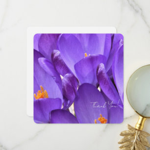 Spring Crocus Flower Photography Thank You Card