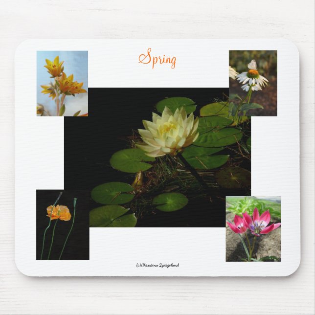 Spring Crocus Flowers Mousepad (Front)