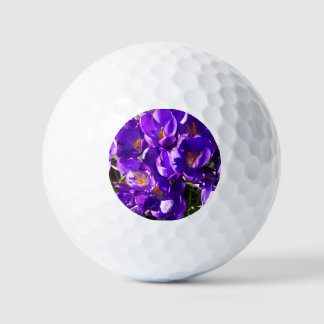 SPRING CROCUS GOLF BALLS