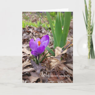 Spring Crocus in Leaves Sympathy Card