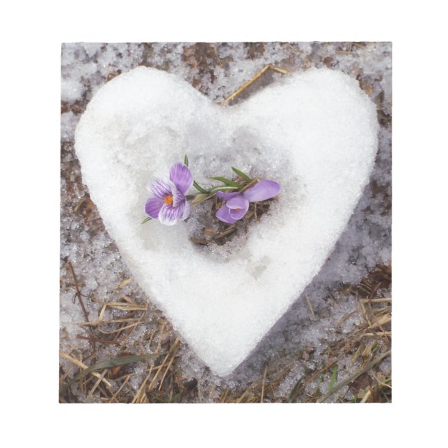 Spring crocus in snow heart photograph notepad (Front)