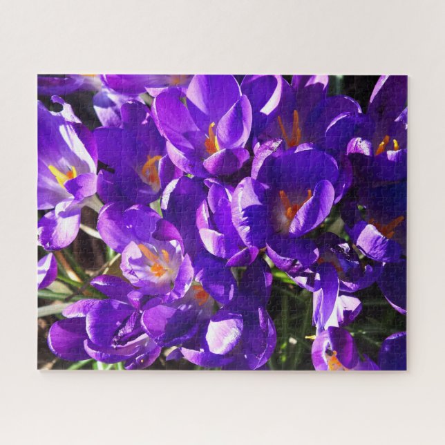 SPRING CROCUS JIGSAW PUZZLE (Horizontal)