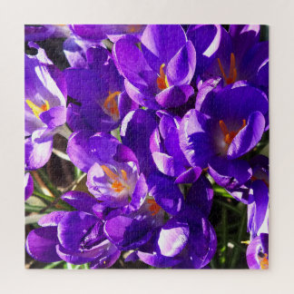 SPRING CROCUS JIGSAW PUZZLE