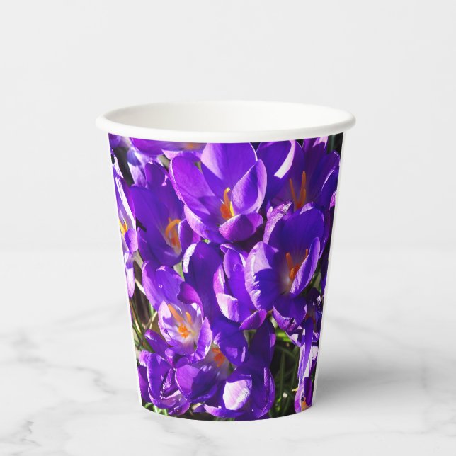 SPRING CROCUS PAPER CUPS (Front)