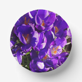 SPRING CROCUS PAPER PLATE