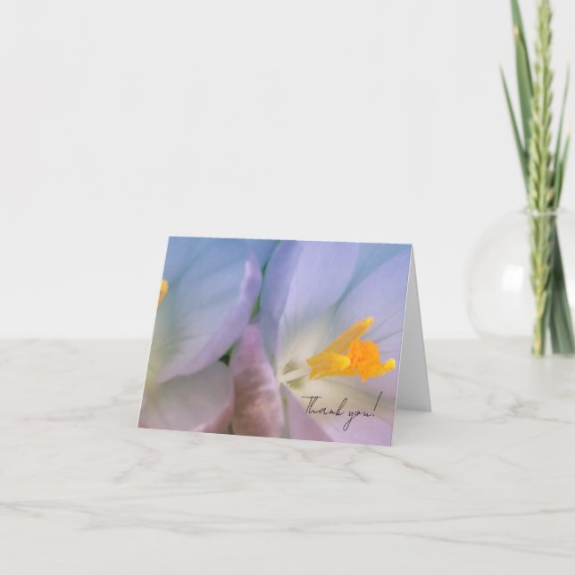 Spring Crocus Photography Thank You Card (Front)