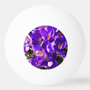 SPRING CROCUS PING PONG BALL