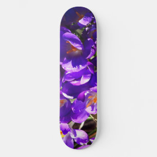 SPRING CROCUS SKATEBOARD