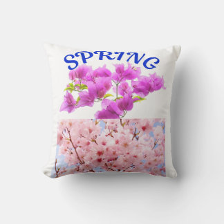Spring Cushion