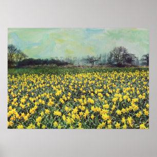 Spring daffodil Fields Poster