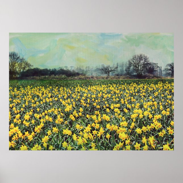 Spring daffodil Fields Poster (Front)