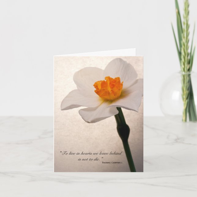 Spring Daffodil Thank You for Your Sympathy (Front)