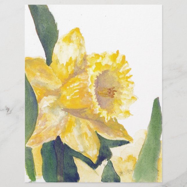 Spring Daffodils (Front)