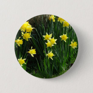 Spring Daffodils 6 Cm Round Badge