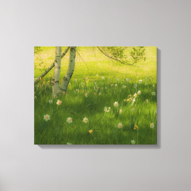 Spring Daffodils Canvas Print (Front)