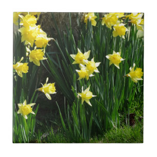 Spring Daffodils Ceramic Tile