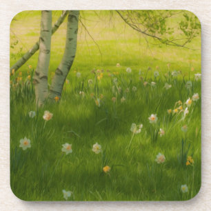 Spring Daffodils Coaster