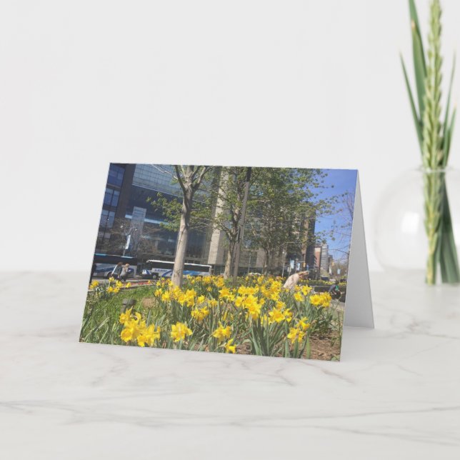 Spring Daffodils Columbus Circle New York City NYC Card (Front)