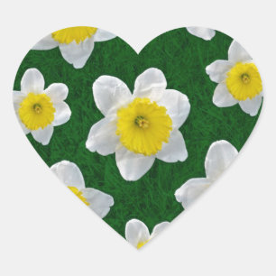 Spring Daffodils Heart Sticker