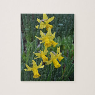 Spring daffodils jigsaw puzzle
