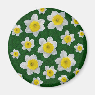 Spring Daffodils Magnet