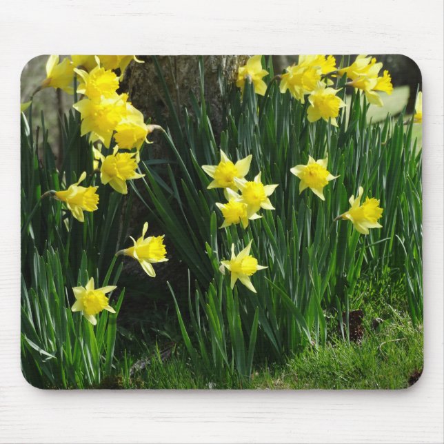 Spring Daffodils Mouse Pad (Front)