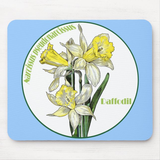 Spring Daffodils Mouse Pad (Front)