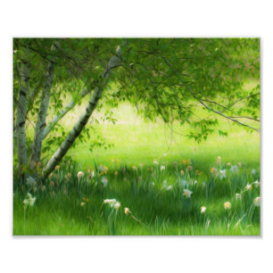 Spring Daffodils Photo Print