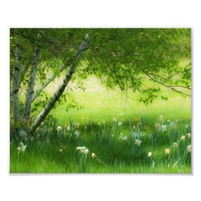 Spring Daffodils Photo Print (Front)