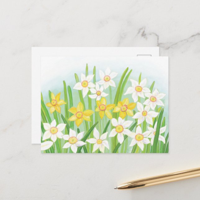 Spring Daffodils  Postcard (Front/Back In Situ)